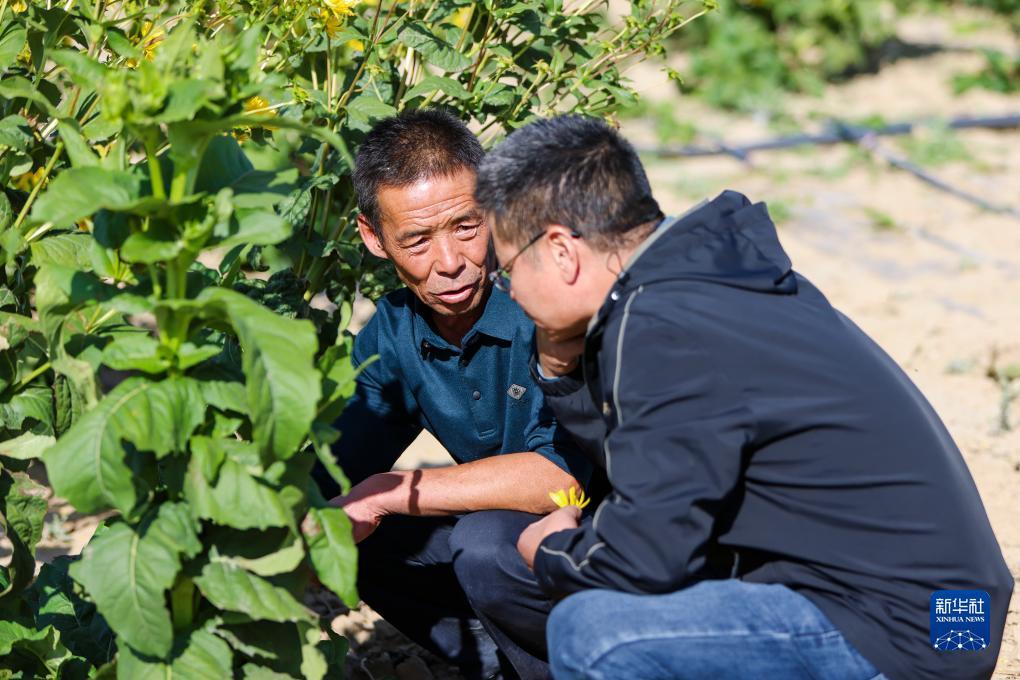 185游戏平台